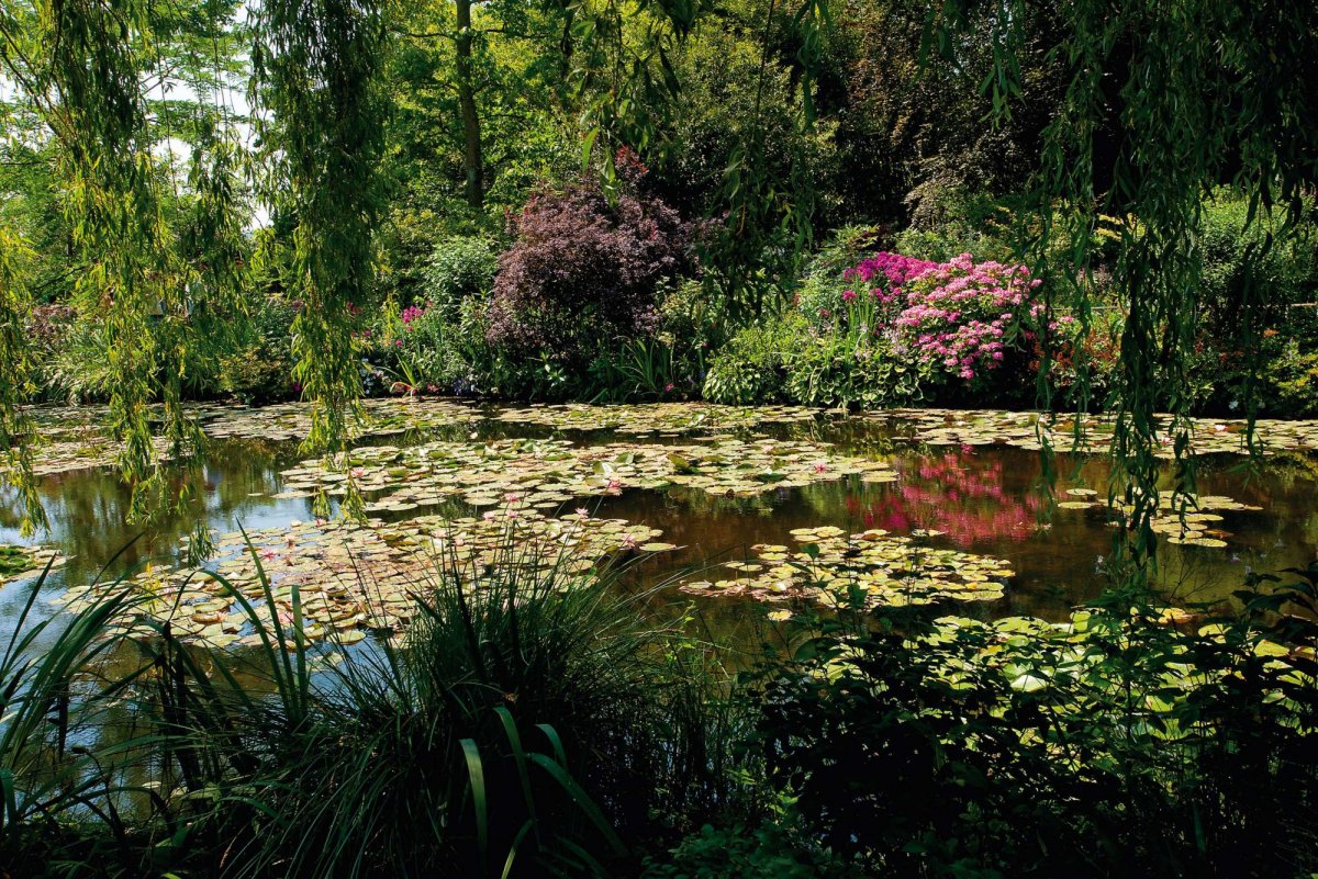 Клод Моне кувшинки Живерни