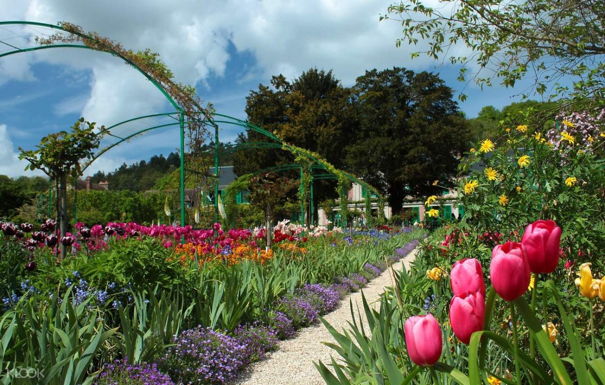 Живерни цветы