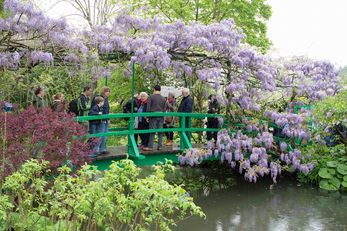 Водный сад Клода Моне