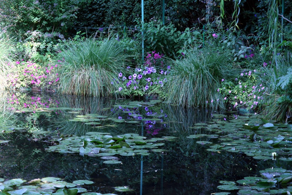 Сад с прудом в Живерни Моне