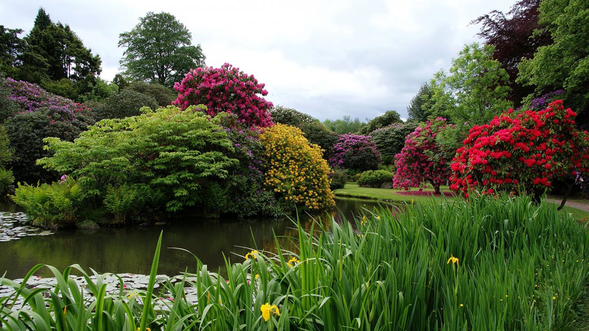 Парк дармера в Англии фото