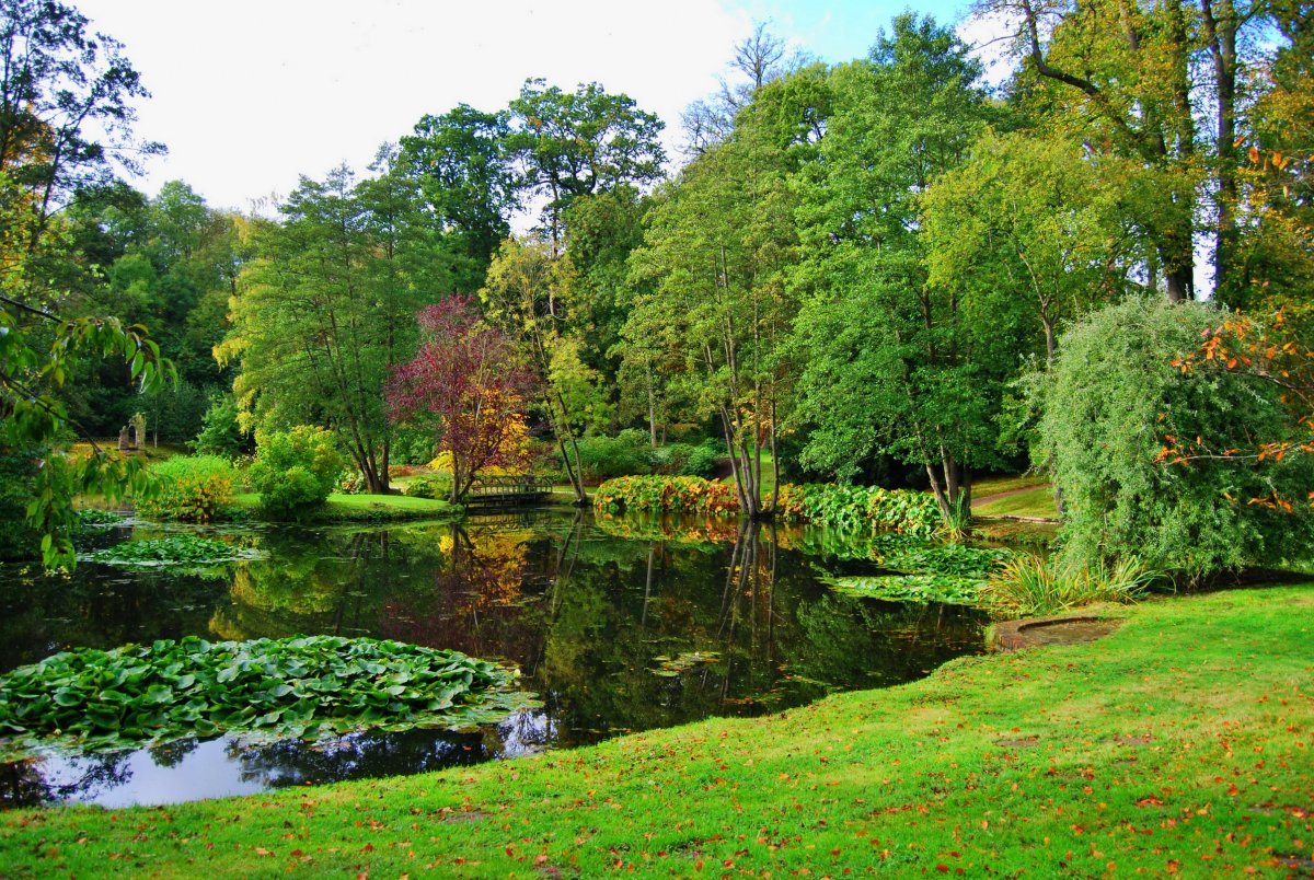 Английский (пейзажный парк) парк