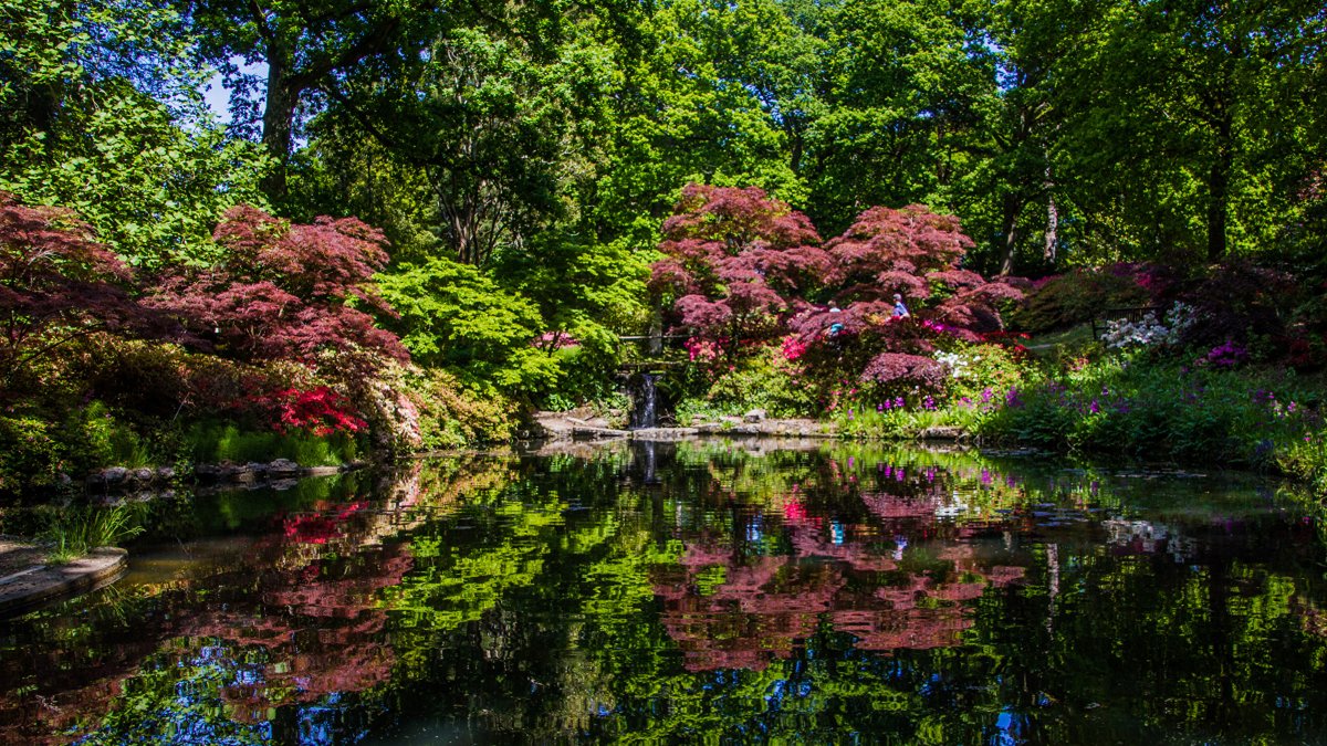 Сады Эксбери, графство Хэмпшир