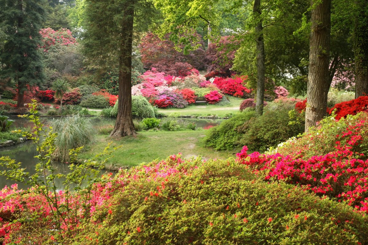 Гарден парк Англия