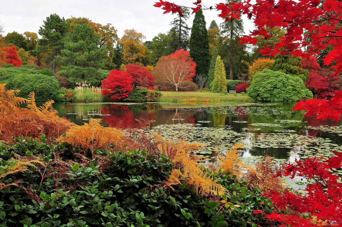 Пейзажный парк в Англии