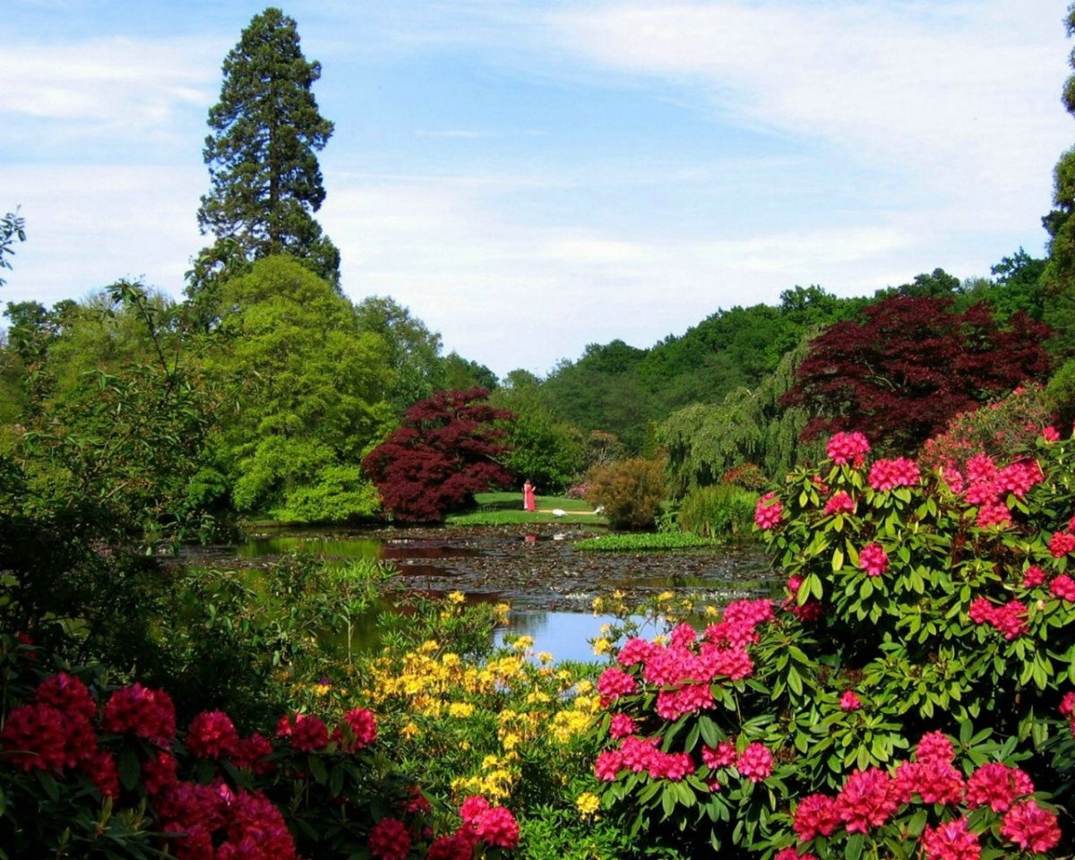 Сады Эксбери Великобритания