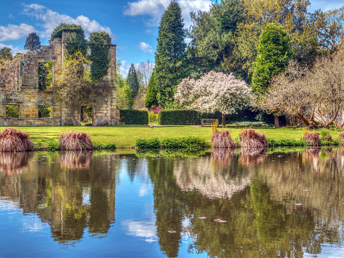 Замок Скотни Великобритания