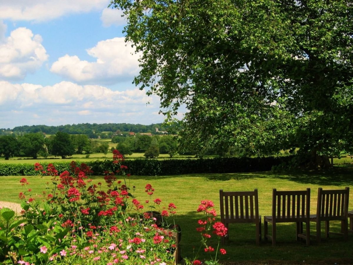 Лето в саду