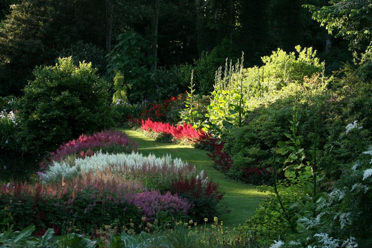 Сады Подмосковья