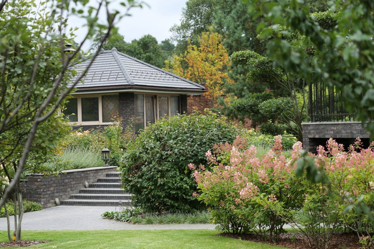 Парк Бельвиль кустарники