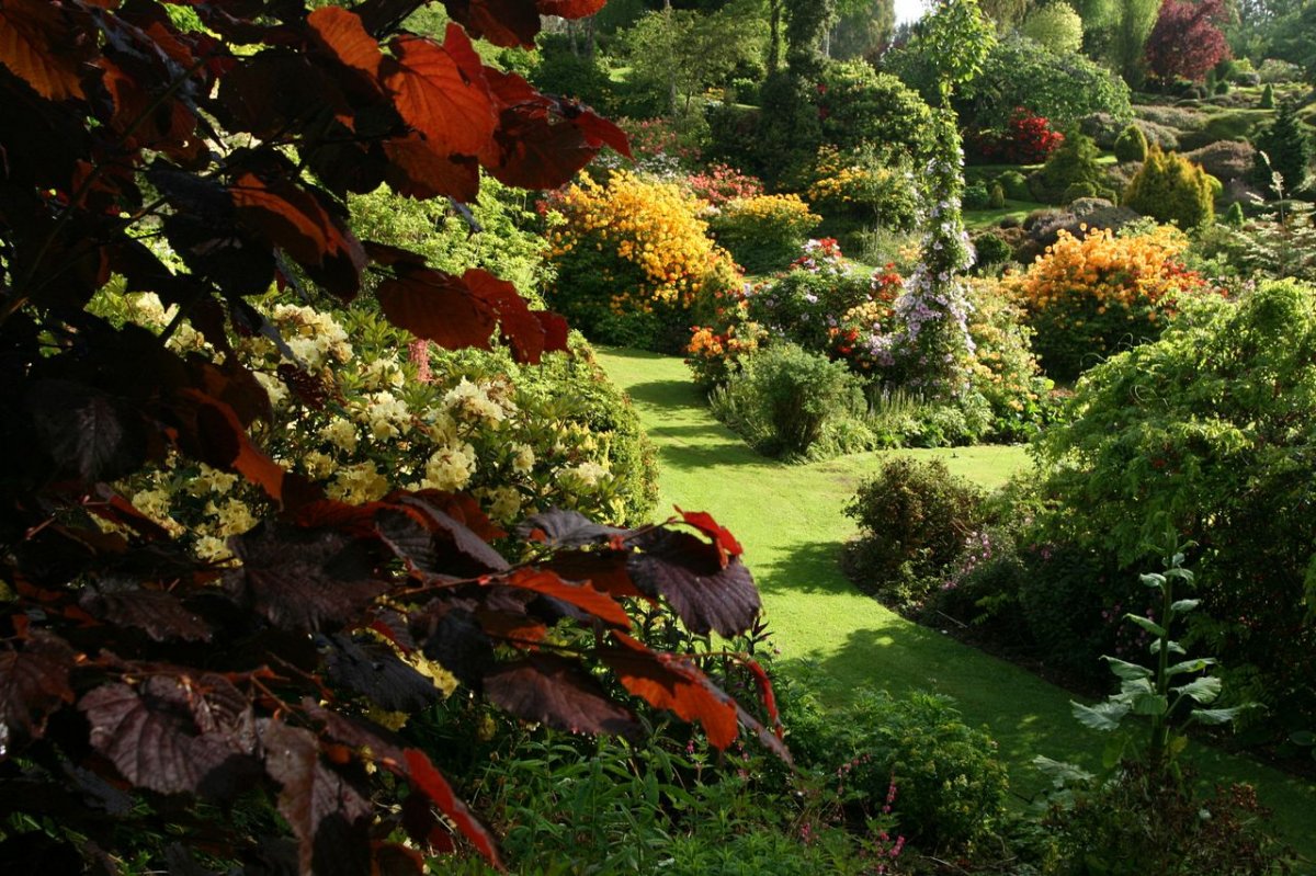 Плодовый сад в усадебном стиле