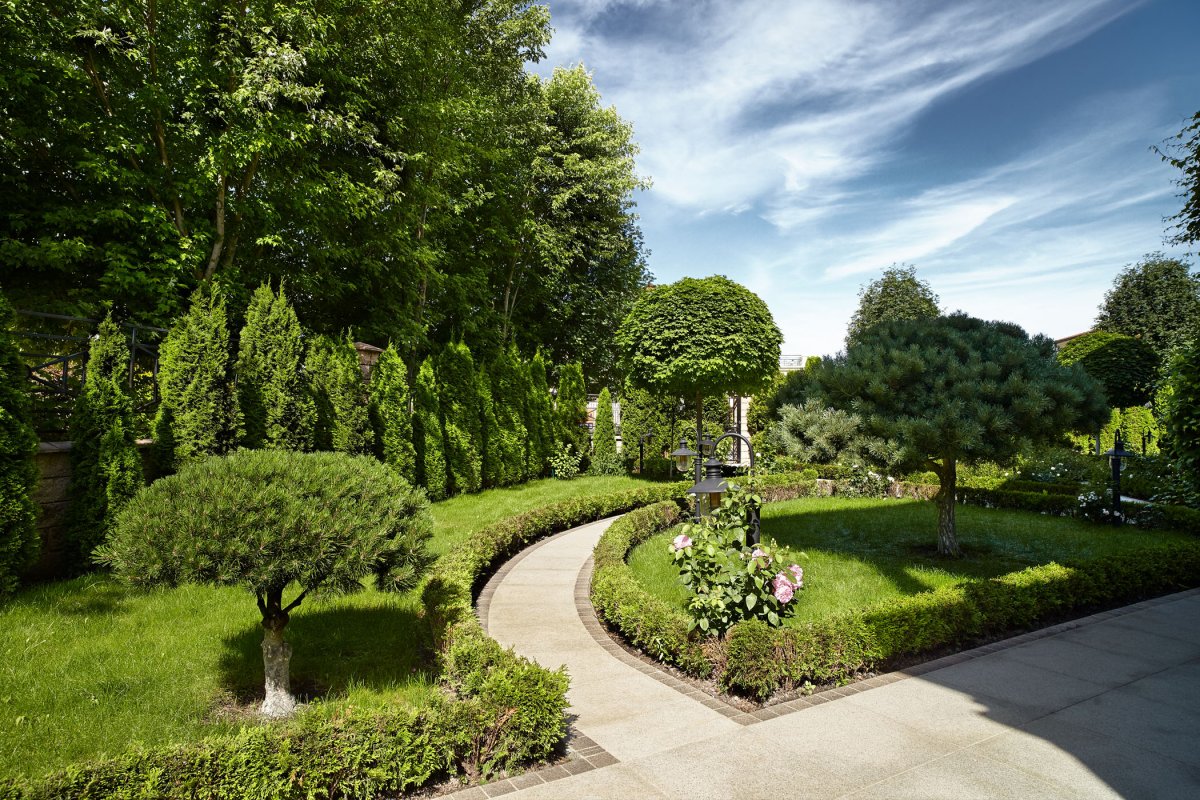 Ландшафт Подмосковье ландшафт дача