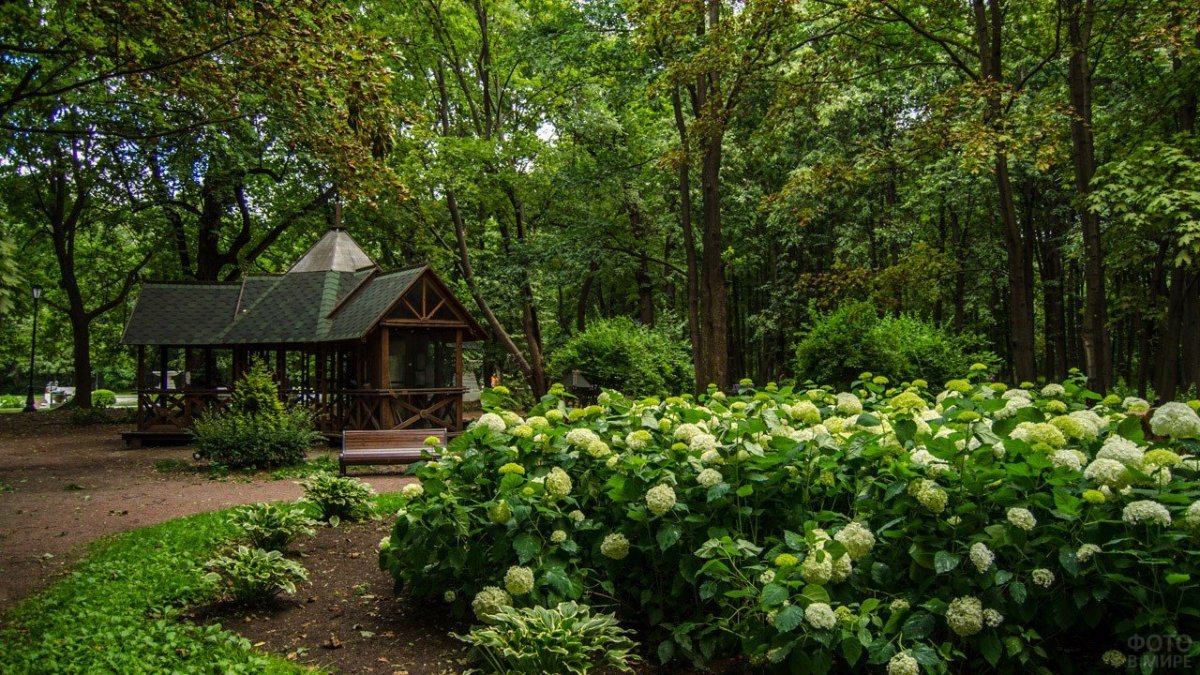 Прекрасные сады Подмосковья