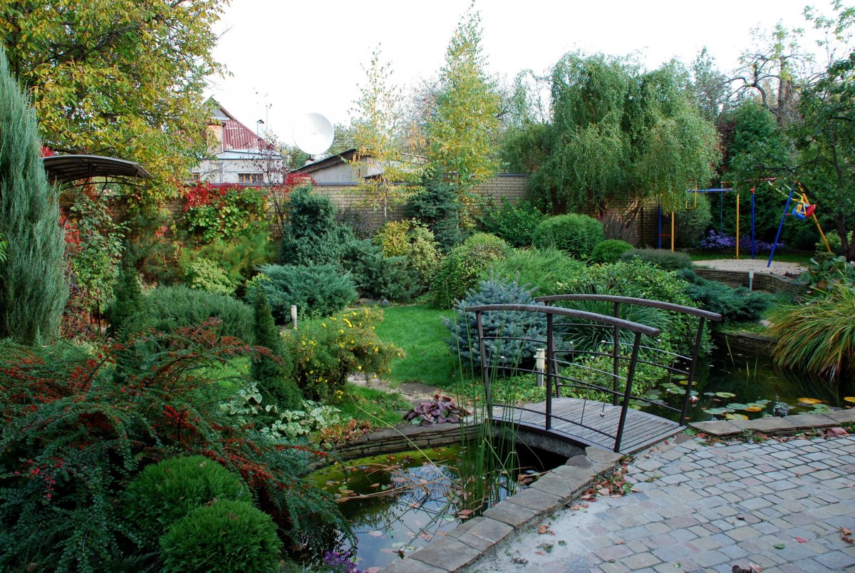 Красивый ландшафт