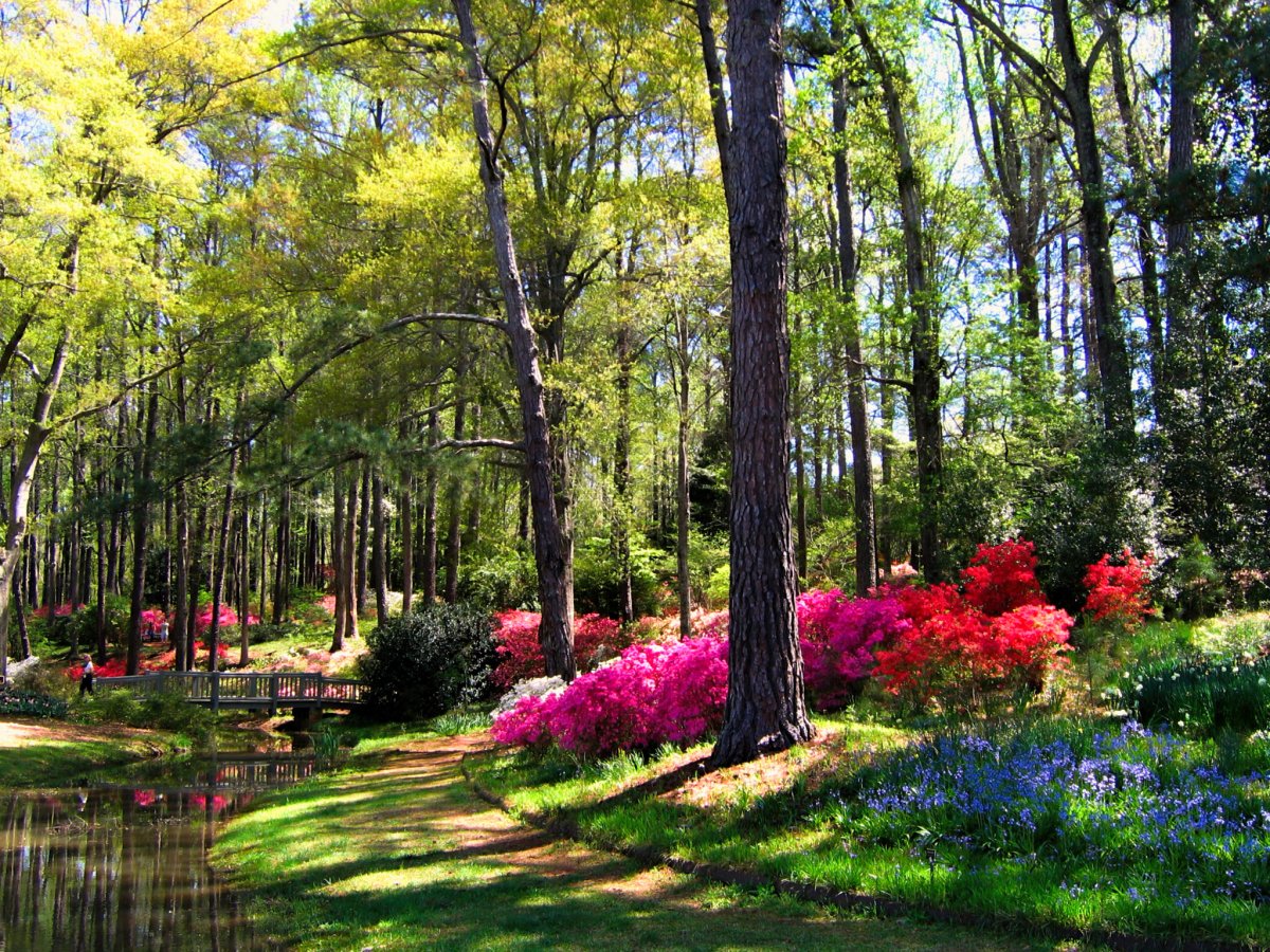 В пейзажном стиле фруктовый сад