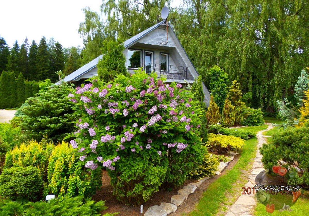 Ботанический сад Калининград