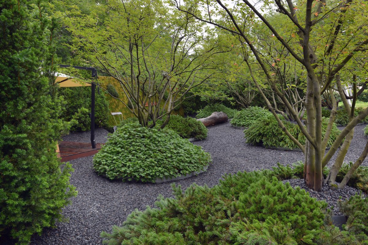 Садовые композиции