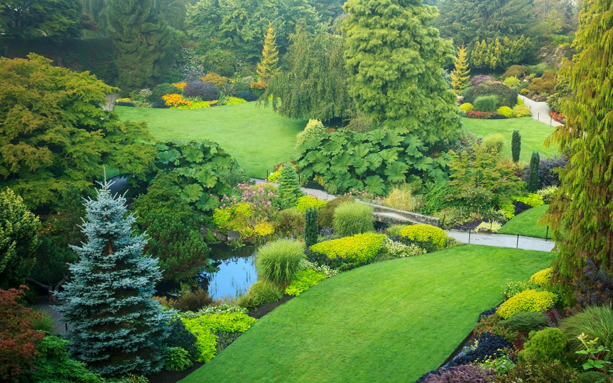 Стоурхед парк рододендроны