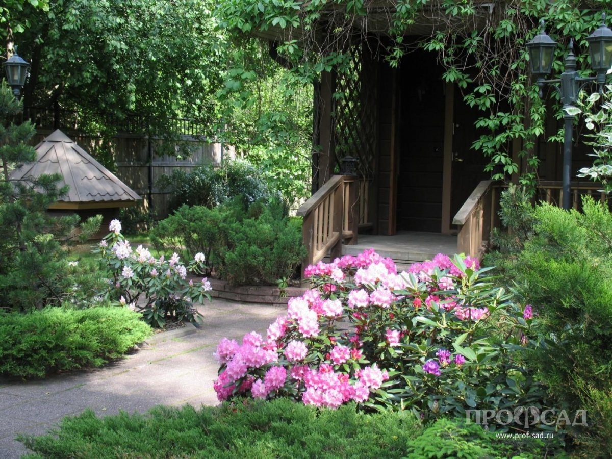 Красивые сады Подмосковья