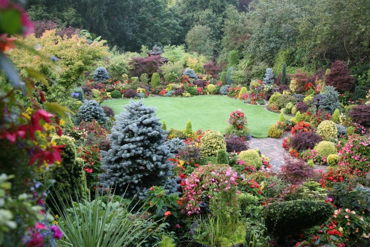 Ландшафтный дизайнер Илья Васецкий кустарники