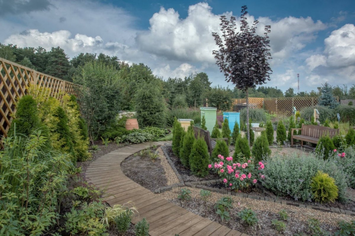 Природа сад лето сад