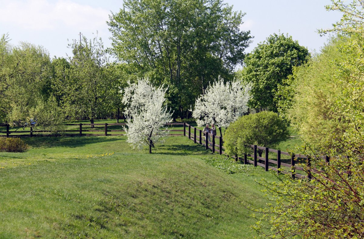 Сад рододендронов Монреаль