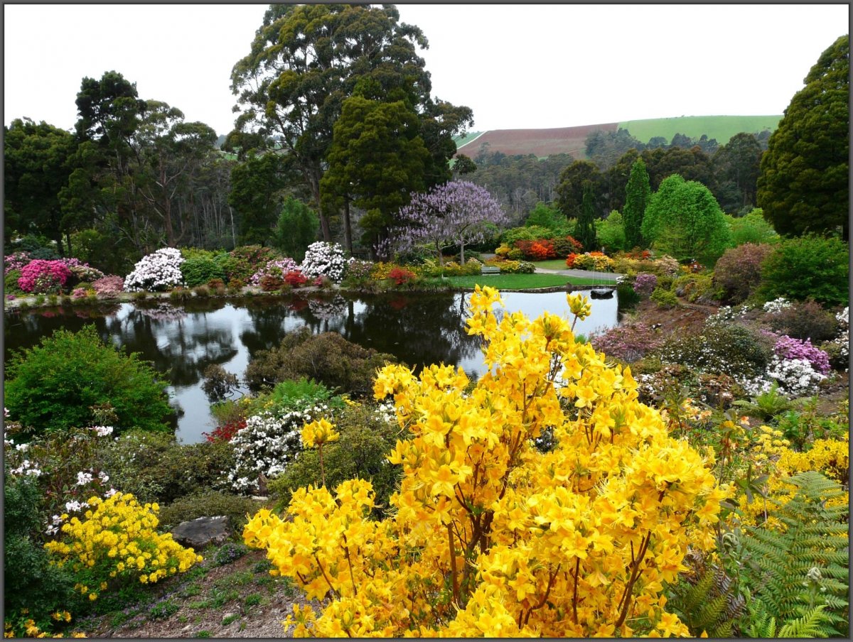 Подмосковный сад