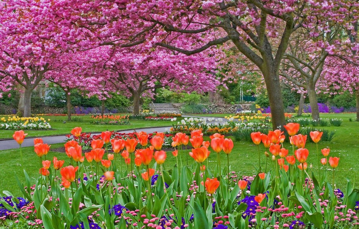Цветущие сады весной