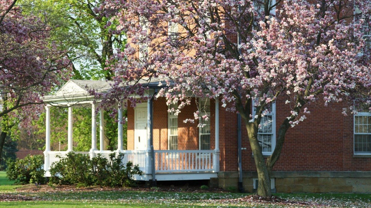 Вишневый сад поместье