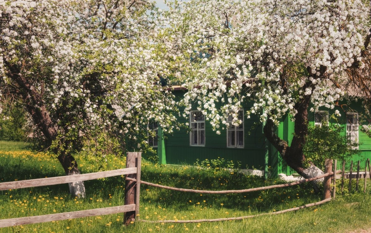 Весна в деревне