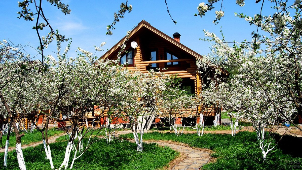 Усадьба вишневый сад деревня Иванова