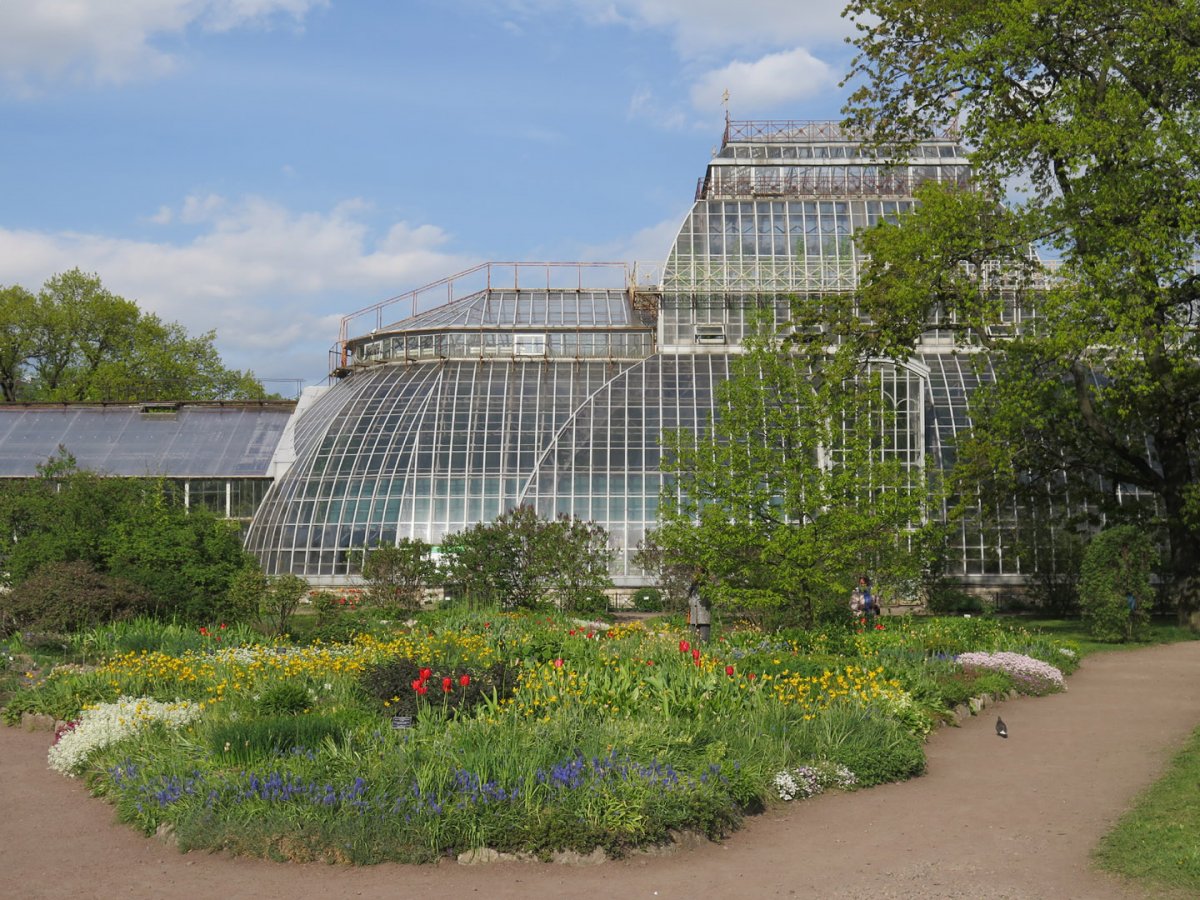 Ботанический сад Петра Великого оранжерея