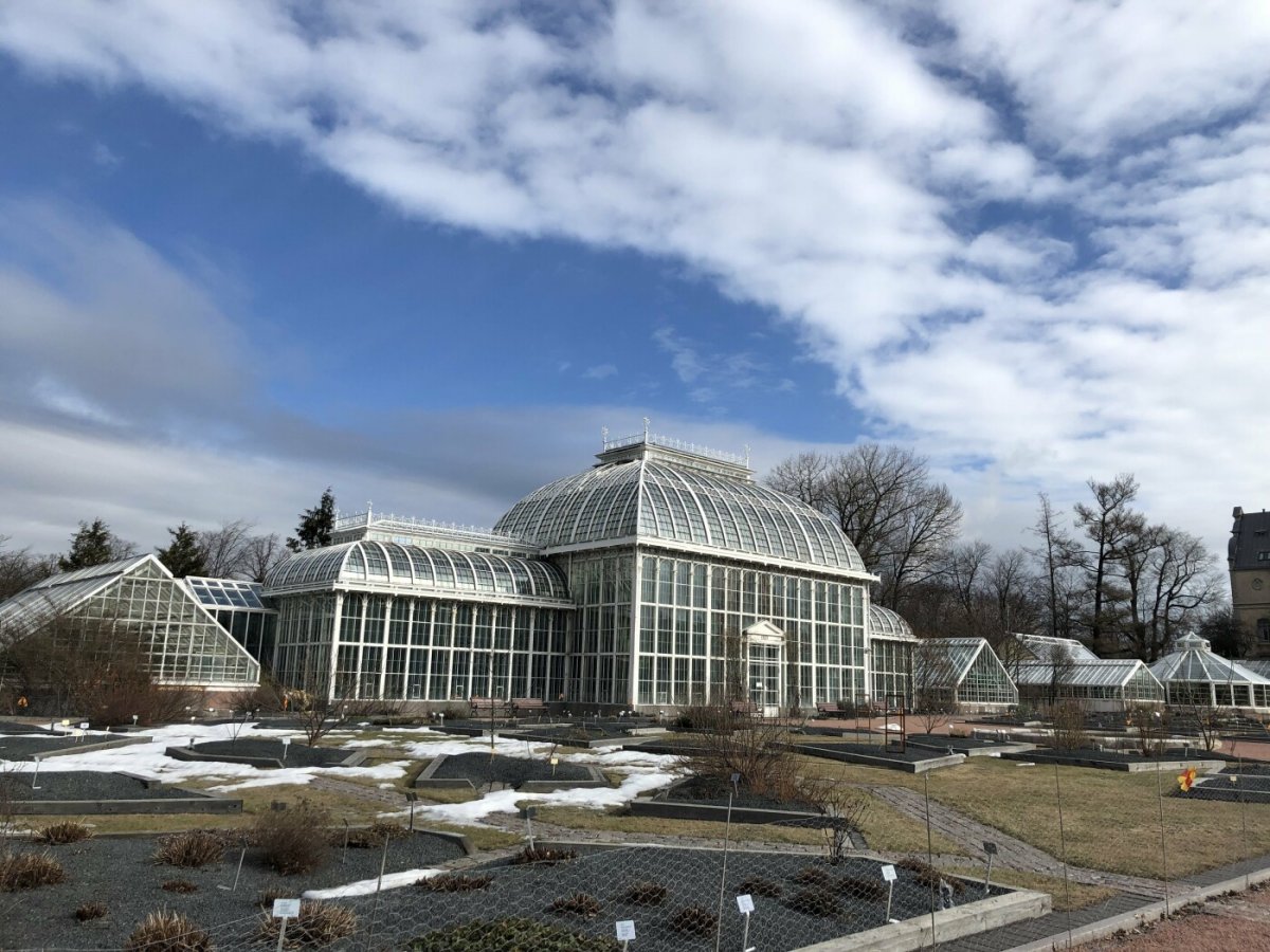 Ботанический сад Цицина зимой