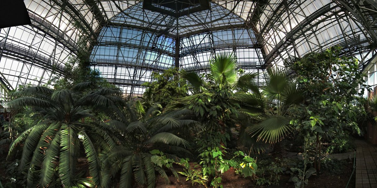 Фондовая оранжерея в Ботаническом саду в Москве