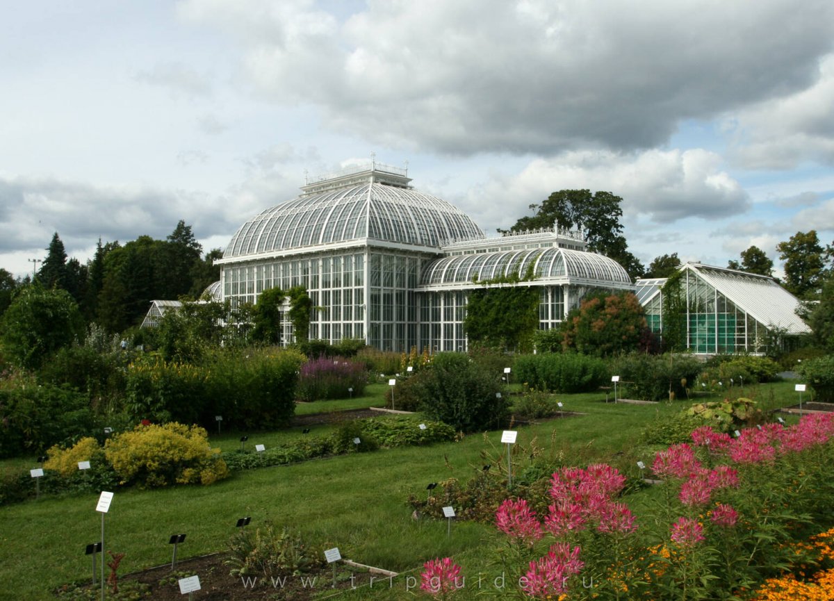 Ботанический сад Хельсинкского университета
