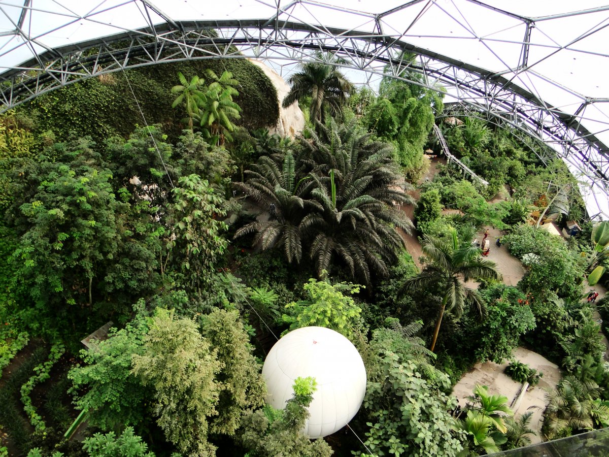 Оранжерея Эдем Англия