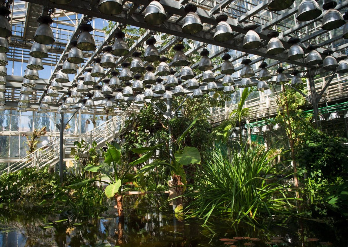 Главный Ботанический сад имени н. в. Цицина РАН