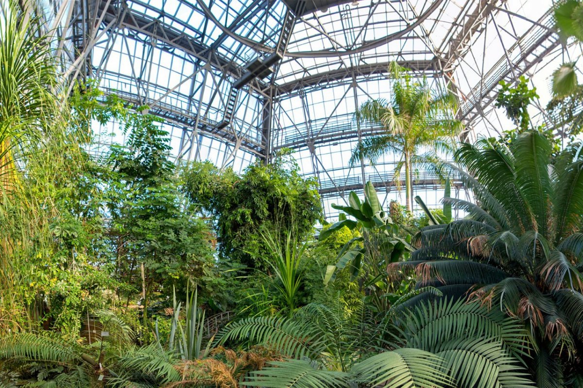 Оранжерея в Самаре Ботанический сад