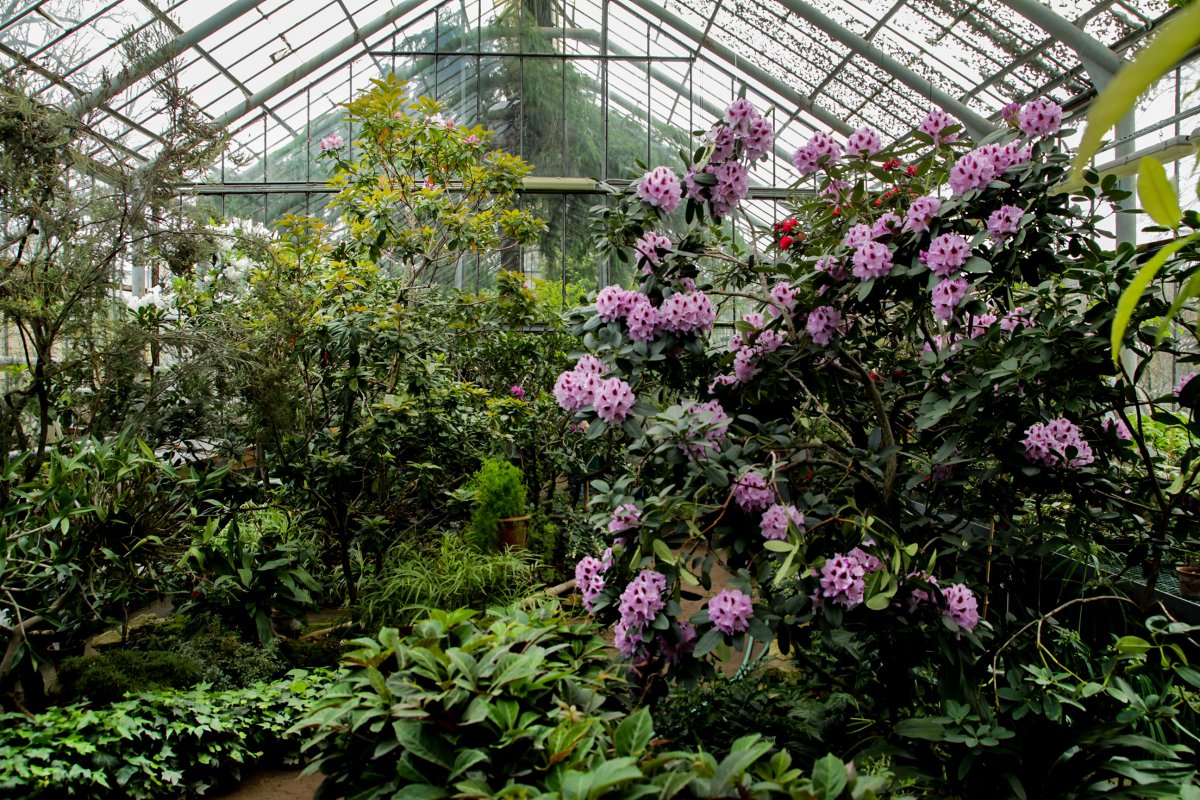 Ботанический сад Петра Великого
