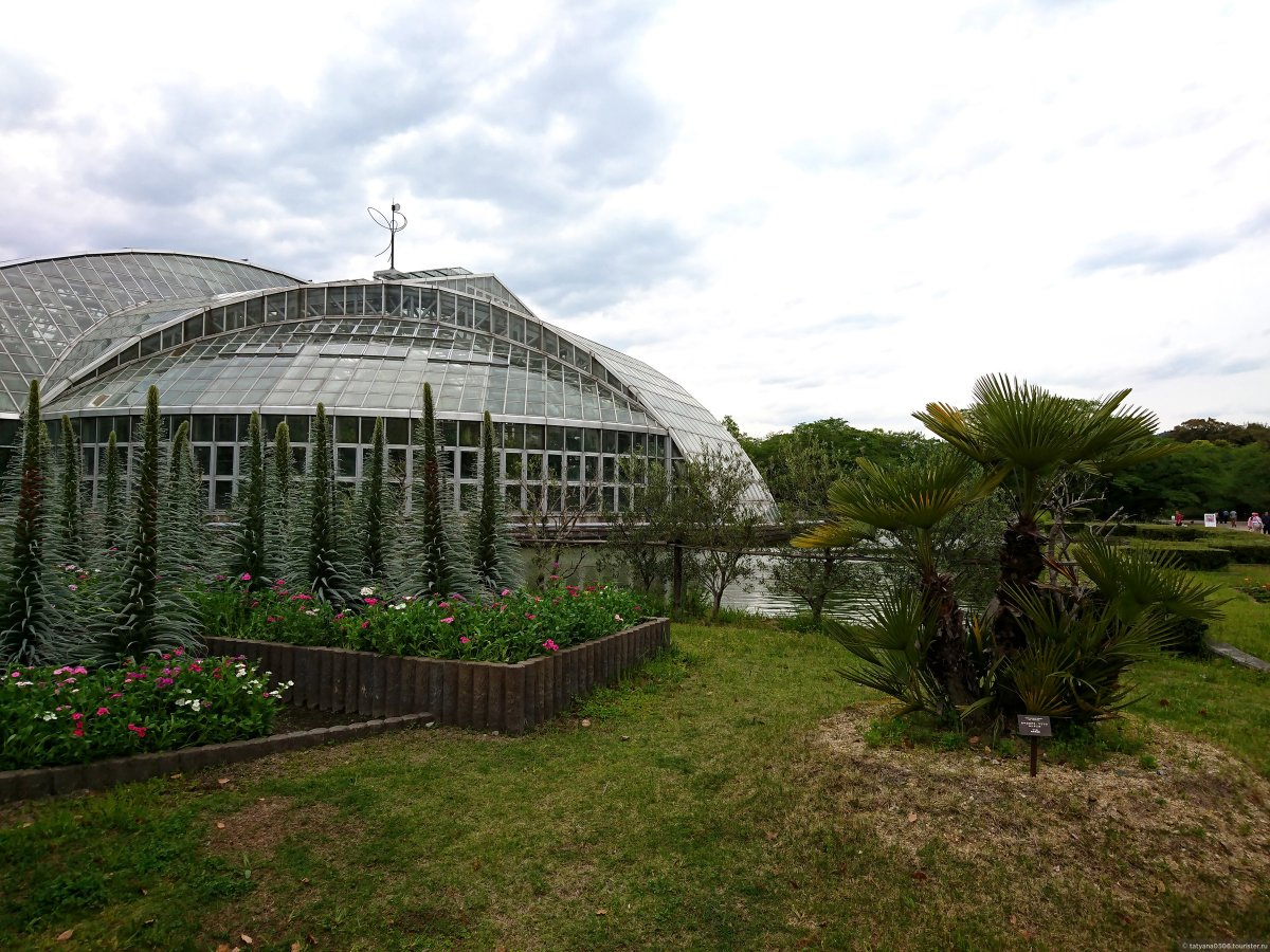 Викторианская оранжерея Ботанический сад Москвы