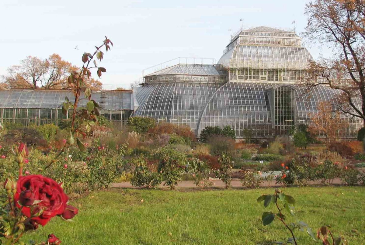 Ботанический сад Петра Великого