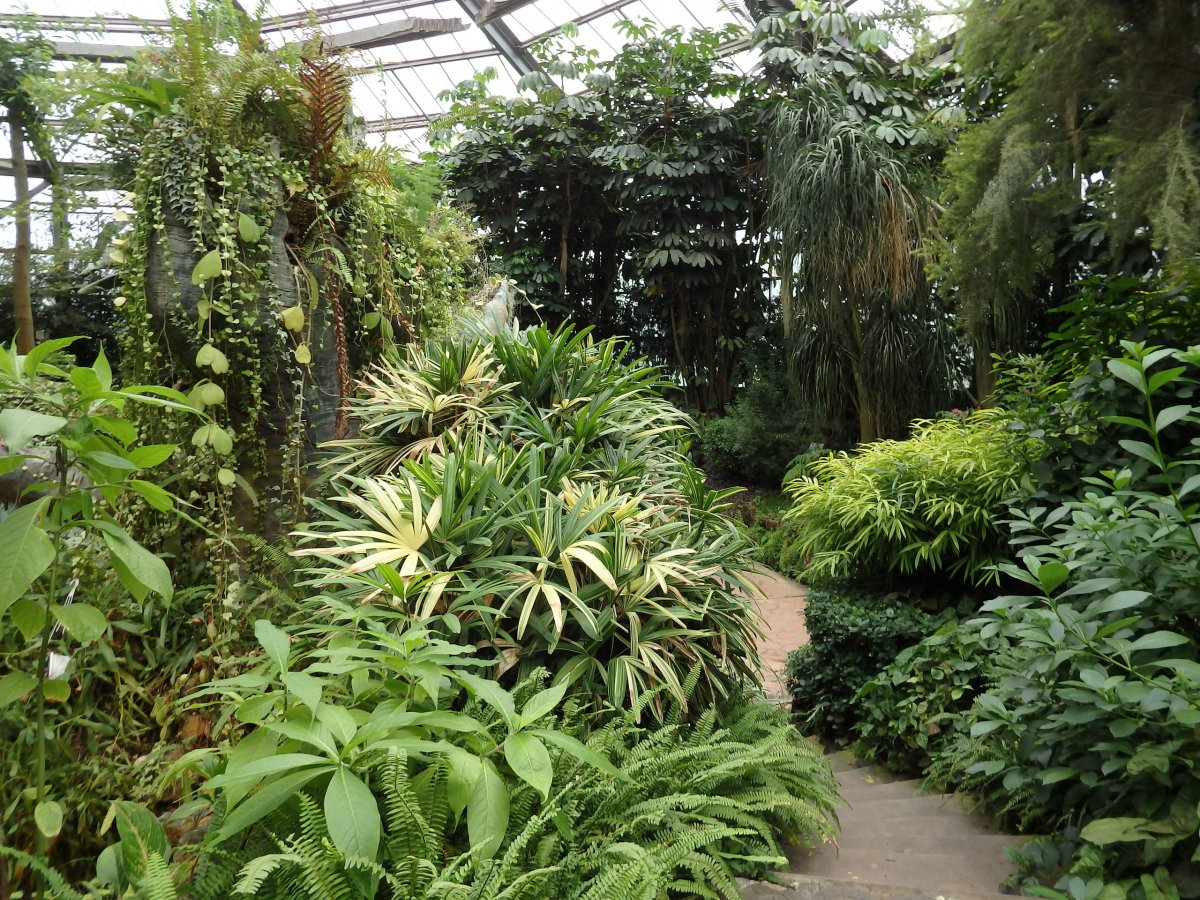 Оранжерея в Ботаническом саду