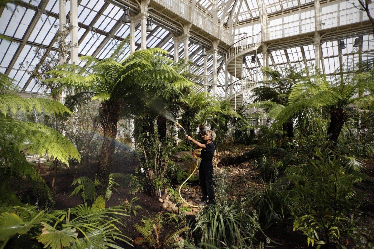 Оранжерея temperate House
