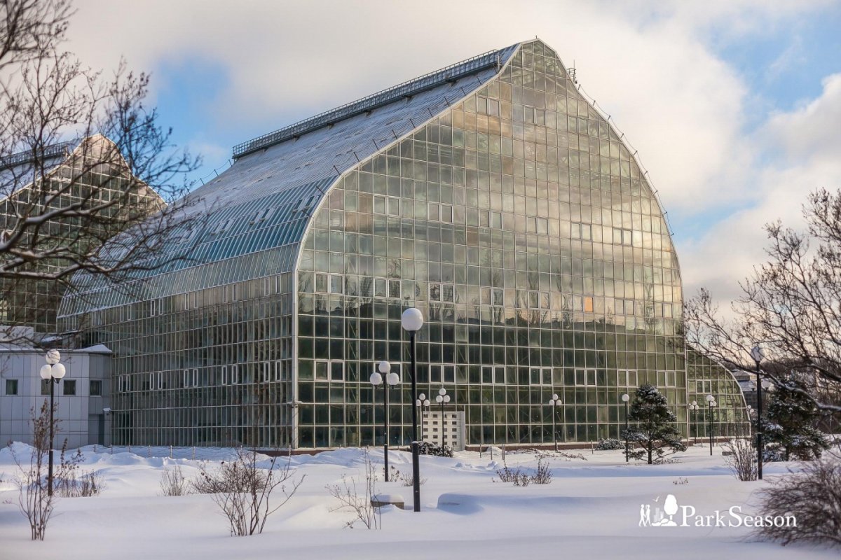 Главный Ботанический сад фондовая оранжерея