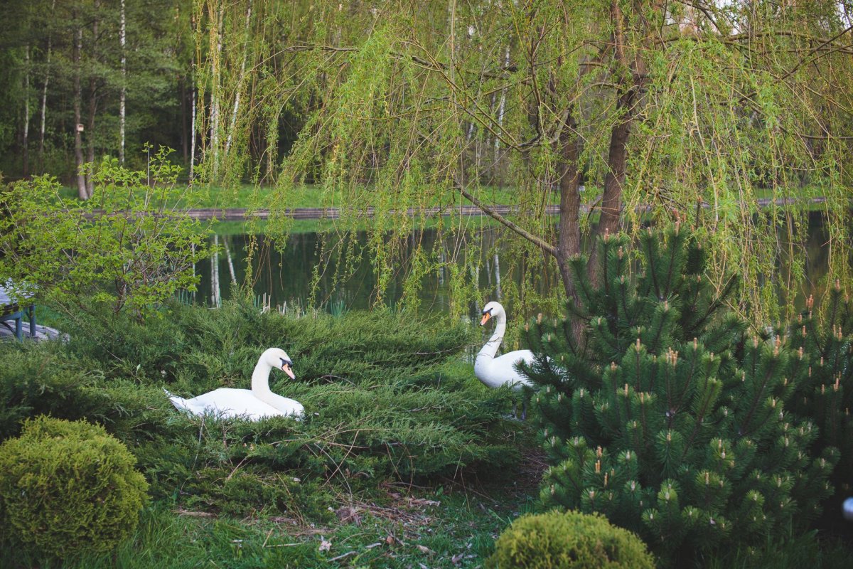 Вид на Ботанический сад