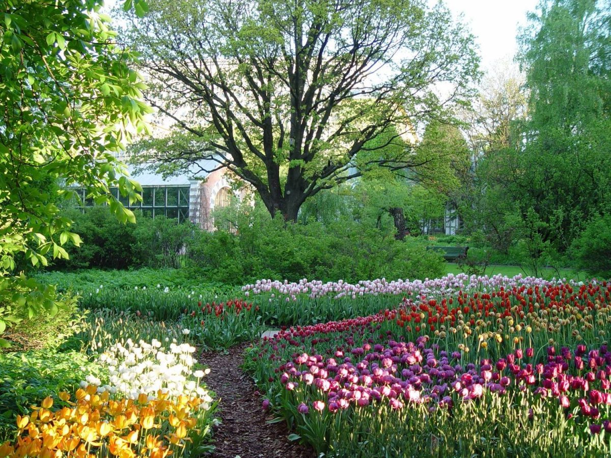 Парк королевы Елизаветы в Ванкувере