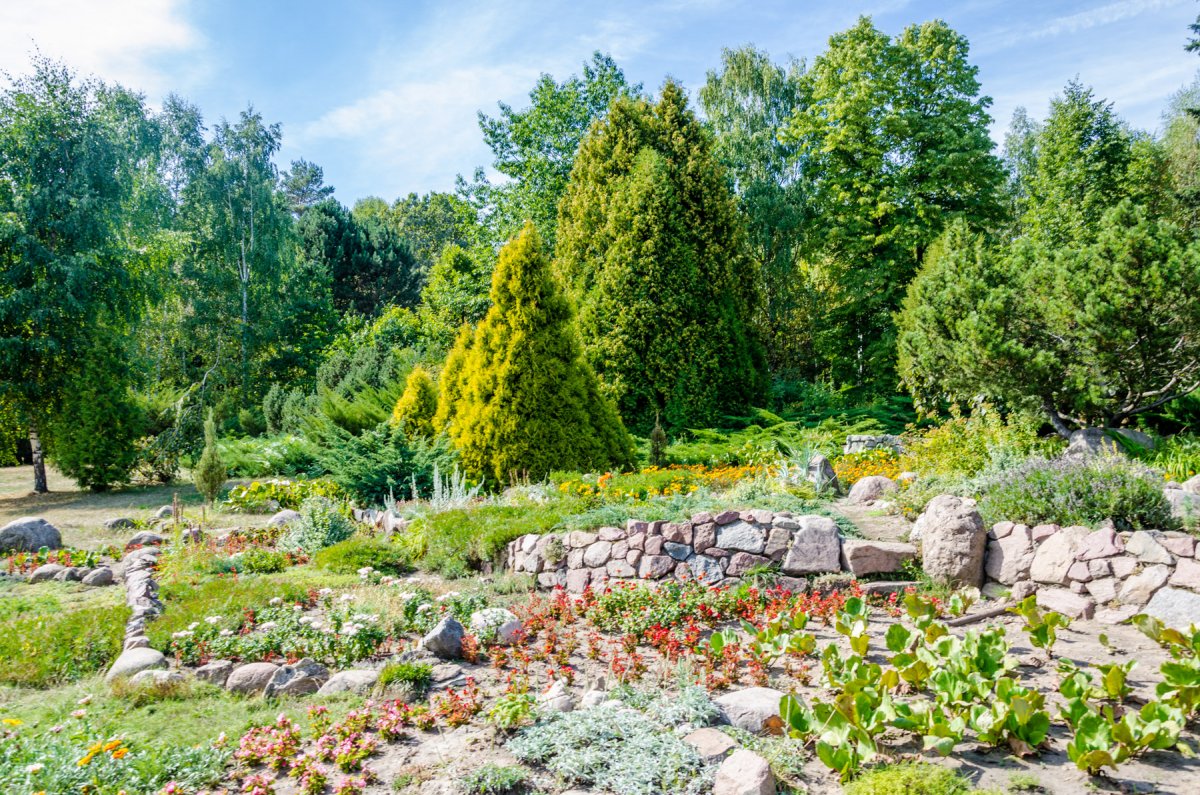 Минский Ботанический сад