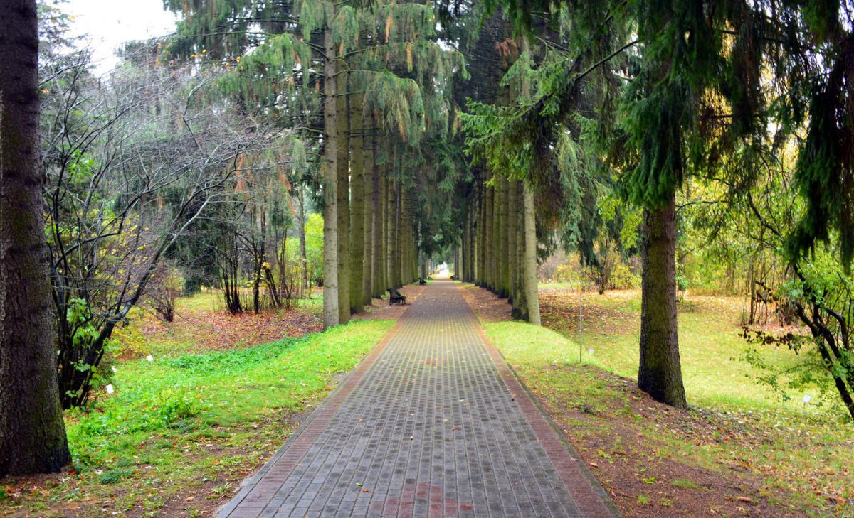 Ботанический сад национальной Академии наук Кыргызской Республики