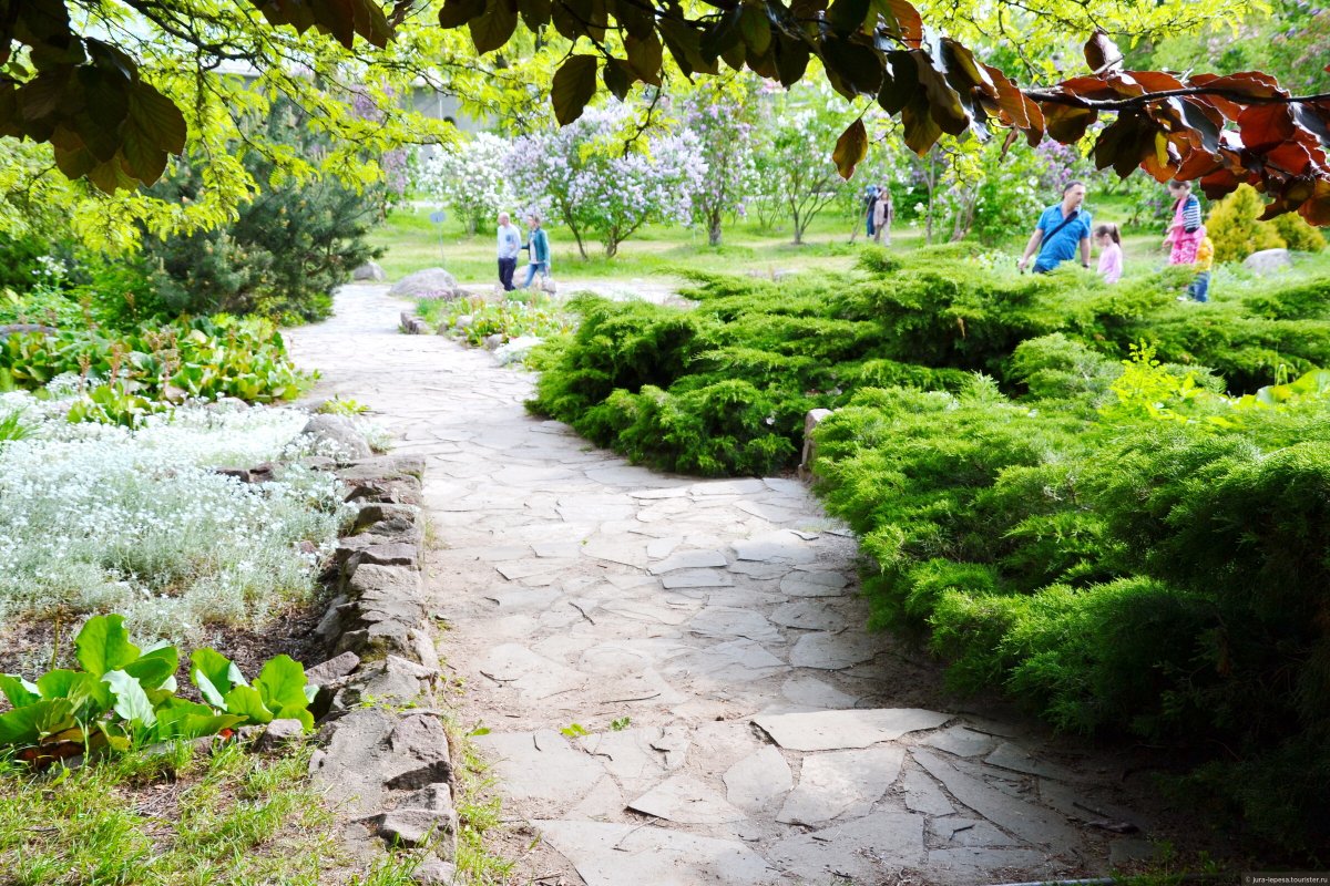 Ботанические сады Европы