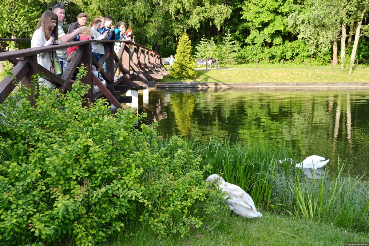 Ботанический сад Владыкино